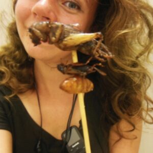 najdziwniejsze jedzenie w azji i tajlandii