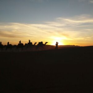 maroko wycieczka na wielbłądach