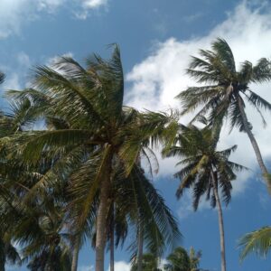 koh phangan tajlandia